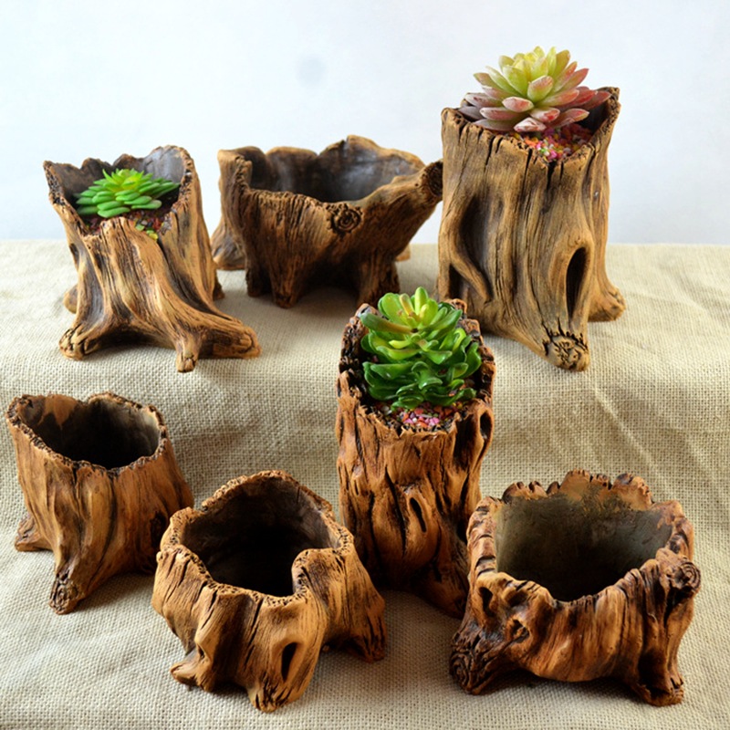 Pot tanaman pot bunga kreatif, - Echeveria Succulent ulasan dan harga